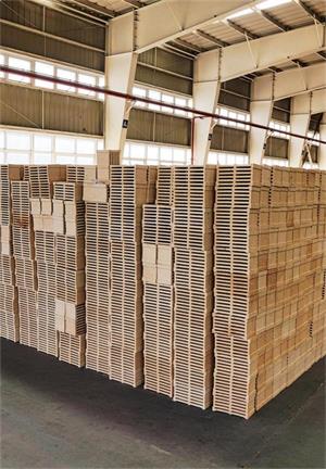 bc5d8837-67f7-4b30-abb9-6be86536fe03.jpg